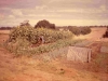 72-08-08-nursery