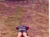 72-08-15-siesta-time3-ayn-perry