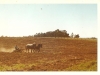 72-08-disking-w-horses