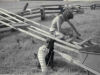 72-10-building-tipi-ladder-leonard-herzstein-eureka