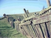 72-12-11-ucsc-fence
