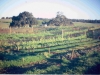 72-12-11-vegetable-beds