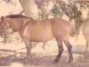 72-07-molly