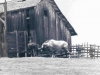 72-07-horse-corral-and-slaughter-house