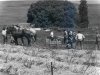 72-03-30-1st-driving-horses5-gary-linda-jay-asha-jeff-sharon