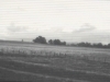 72-07-landscape-west
