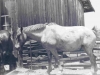 72-07-pete2