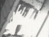 72-07-slaughter-house-roof2