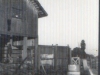 72-07-slaughter-house2